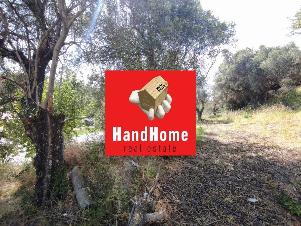 Plot for sale