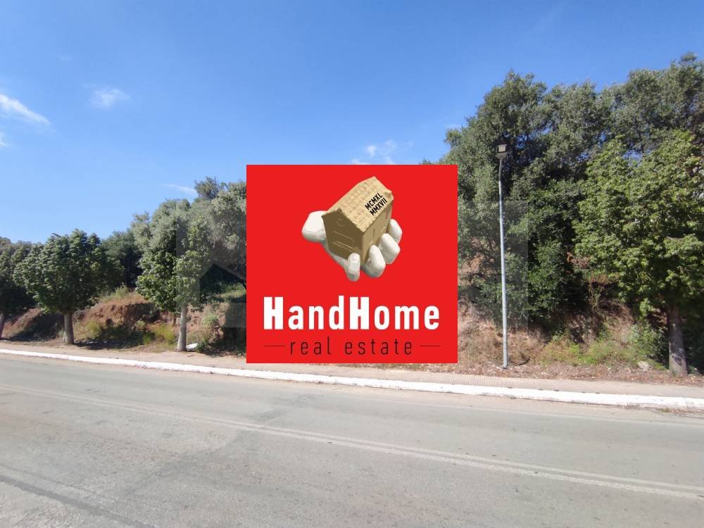Plot for sale