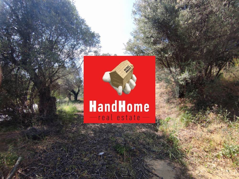 Plot for sale