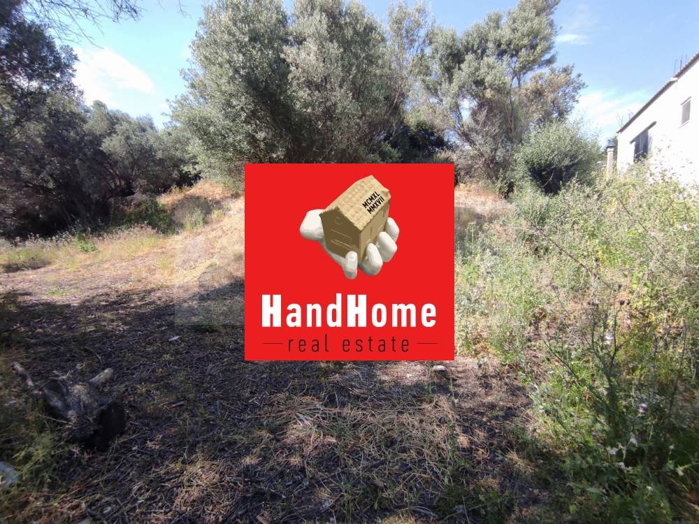 Plot for sale