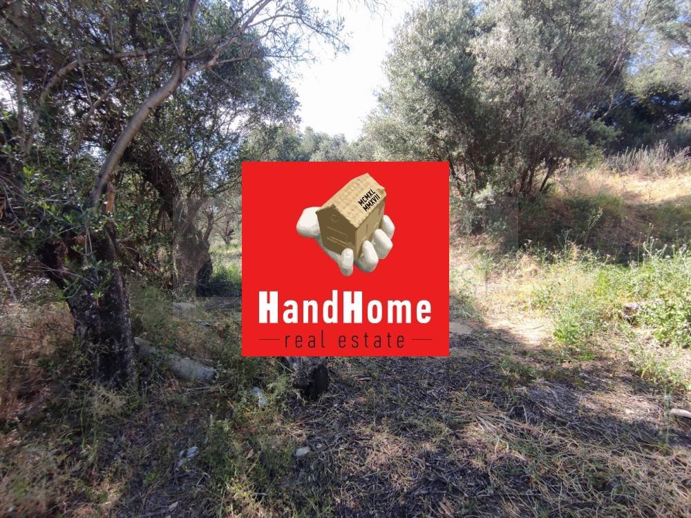 Plot for sale