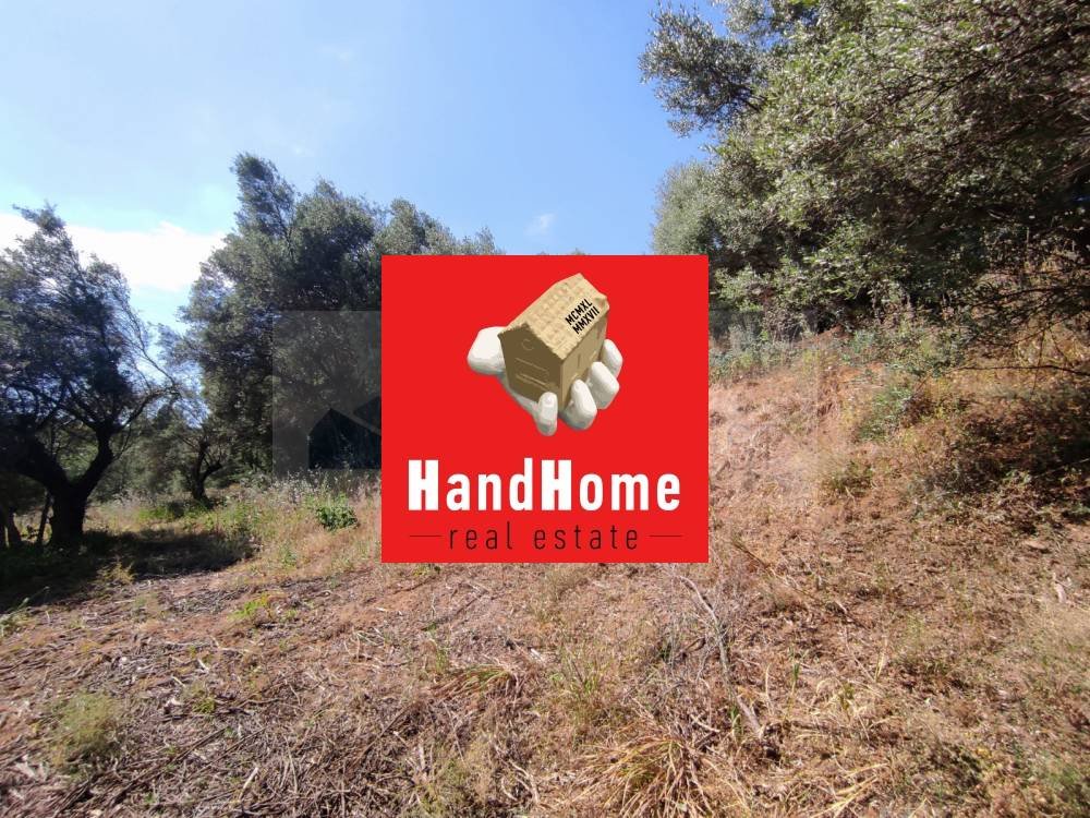 Plot for sale