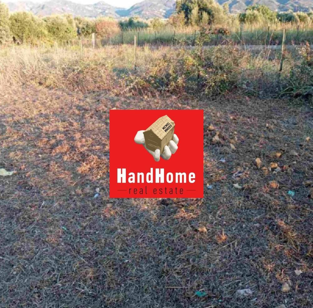 Plot for sale
