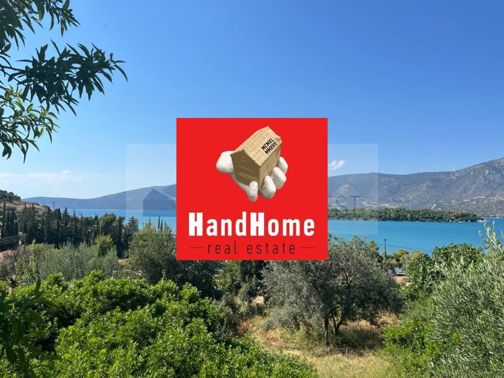 Plot for sale