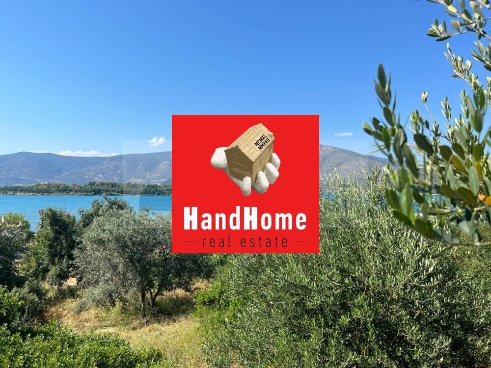 Plot for sale