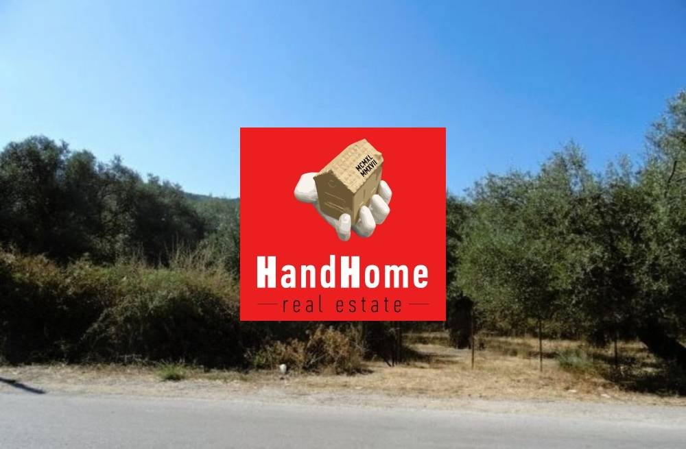 Plot for sale